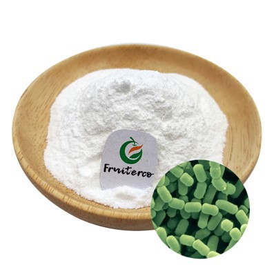 Lactobacillus fermentum probiotika