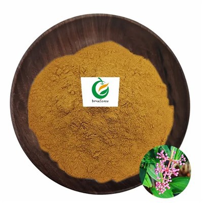 Sakae naa combretum quadranglulare ekstrakts